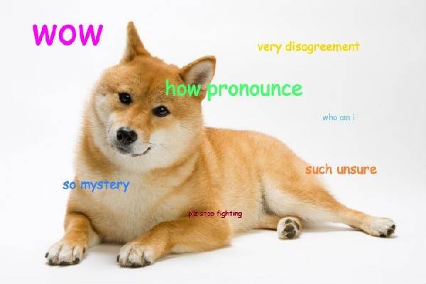 網紅“神煩狗”：你是哪一款？