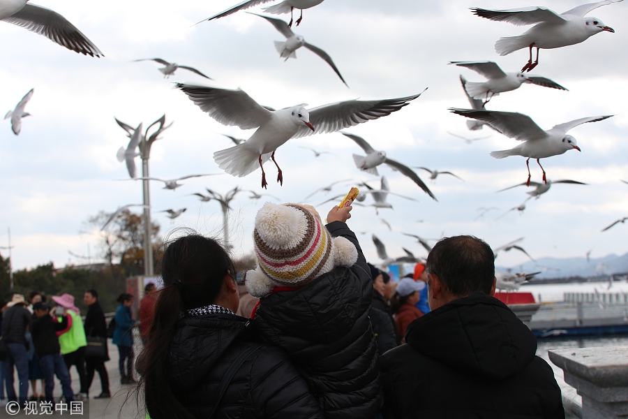 春節(jié)不知道去哪玩？國內(nèi)十大熱門城市走起！（組圖）